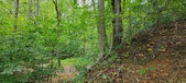 Enlarge photo 93