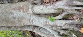 Enlarge photo 94