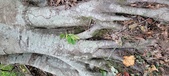 Enlarge photo 95