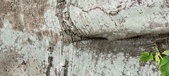 Enlarge photo 97