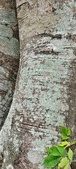 Enlarge photo 50