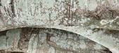 Enlarge photo 99