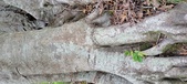 Enlarge photo 100