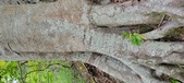 Enlarge photo 102