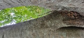 Enlarge photo 104