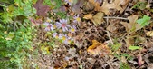 Enlarge photo 107