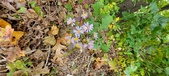 Enlarge photo 106
