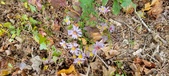 Enlarge photo 113