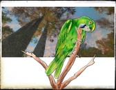Enlarge photo 119
