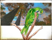Enlarge photo 114