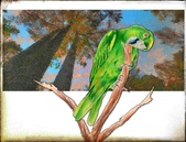 Enlarge photo 115