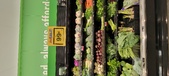 Enlarge photo 124