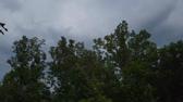 Enlarge MPEG4 3