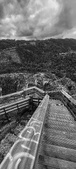 Enlarge photo 40