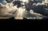 Enlarge photo 18