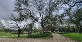 Enlarge photo 39