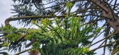 Enlarge photo 25