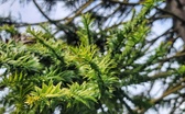 Enlarge photo 23