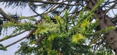 Enlarge photo 21