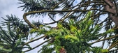 Enlarge photo 19