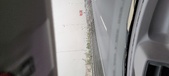 Enlarge photo 50