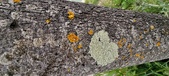 Enlarge photo 19