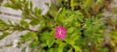 Enlarge photo 51