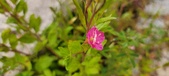 Enlarge photo 53
