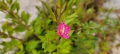 Enlarge photo 54