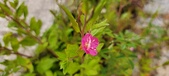 Enlarge photo 58