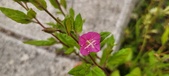 Enlarge photo 57
