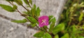 Enlarge photo 56