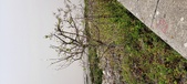 Enlarge photo 55