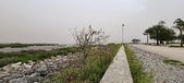 Enlarge photo 59