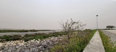 Enlarge photo 60