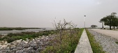 Enlarge photo 61