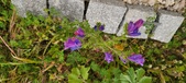 Enlarge photo 63