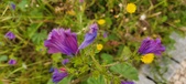 Enlarge photo 65