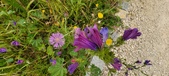Enlarge photo 66