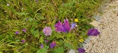 Enlarge photo 70