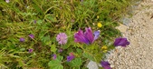 Enlarge photo 69