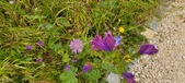 Enlarge photo 68
