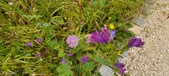 Enlarge photo 67