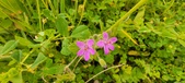Enlarge photo 71