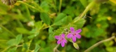 Enlarge photo 72