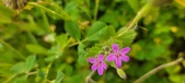 Enlarge photo 73