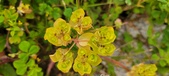 Enlarge photo 78