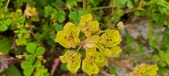 Enlarge photo 77