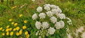 Enlarge photo 76