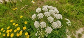 Enlarge photo 75